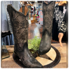 Circle G Ladies Embroidery & Studs Boot-Ladies Boot-Circle G Boots-Gallop 'n Glitz- Women's Western Wear Boutique, Located in Grants Pass, Oregon