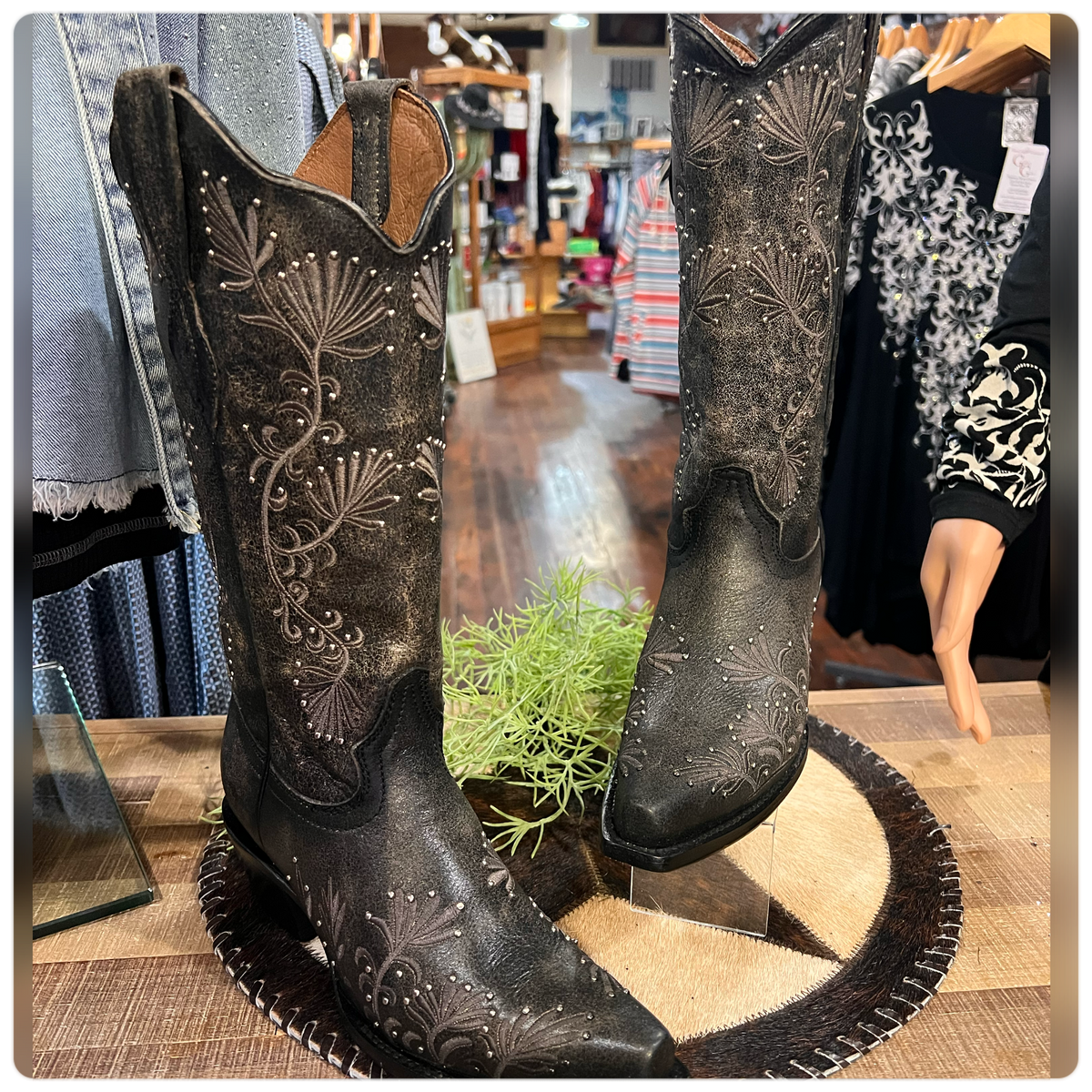 Circle G Ladies Embroidery & Studs Boot-Ladies Boot-Circle G Boots-Gallop 'n Glitz- Women's Western Wear Boutique, Located in Grants Pass, Oregon