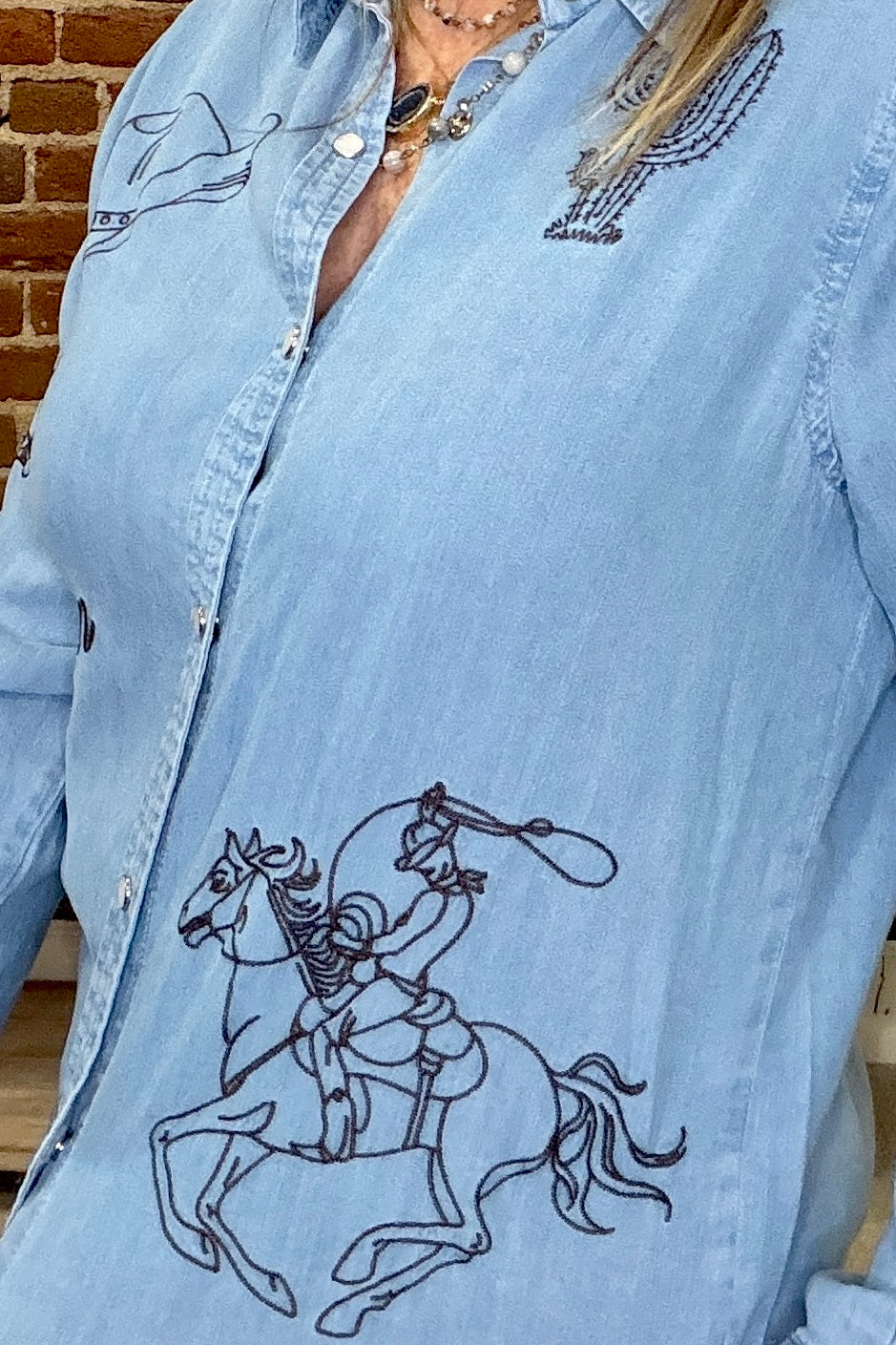 Western Embroidered Snap Button Shirt