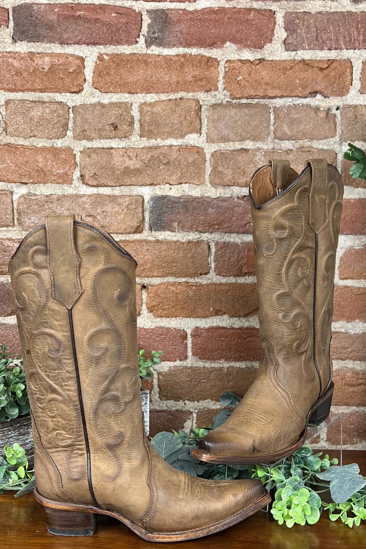 Ladies Cinnamon Embroidered Circle G Boot by Corral Boots-Boot-Corral Boots/Circle G by Corral Boots-Gallop 'n Glitz- Women's Western Wear Boutique, Located in Grants Pass, Oregon