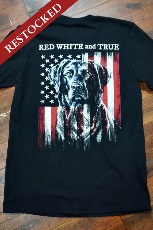 Red, White, True & Blue" Tee-Men's Graphic Tee-Buck Wear-Gallop 'n Glitz- Women's Western Wear Boutique, Located in Grants Pass, Oregon