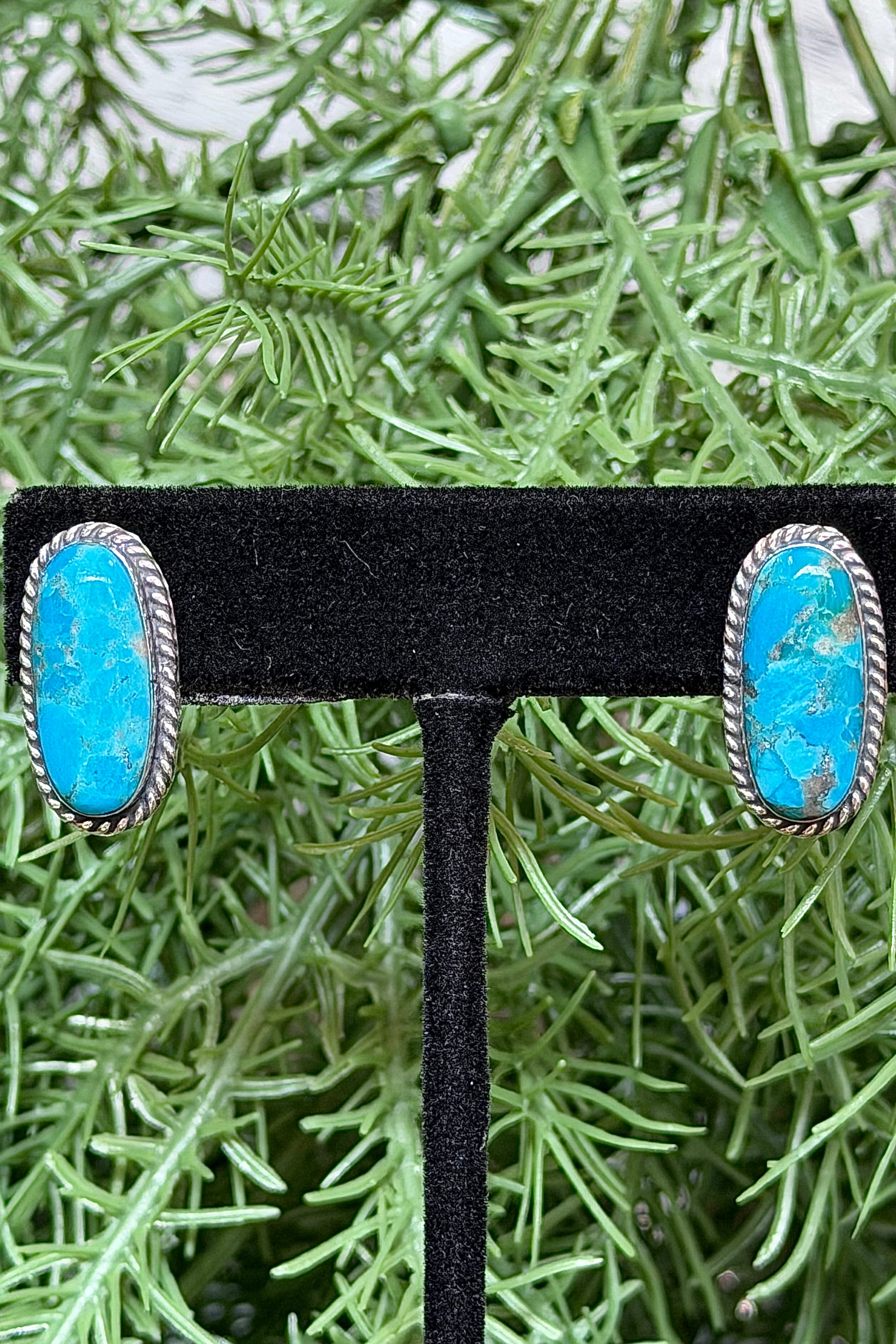 Sterling Silver Turquoise Earring With Rope Border