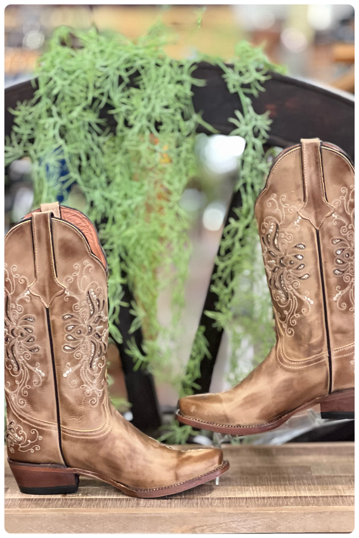 Women's Athletic Fit Leather Boot with Butterfly Inlay-Women's Boot-Tanner Mark-Gallop 'n Glitz- Women's Western Wear Boutique, Located in Grants Pass, Oregon